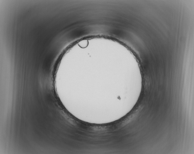 X0000111860927200908131456