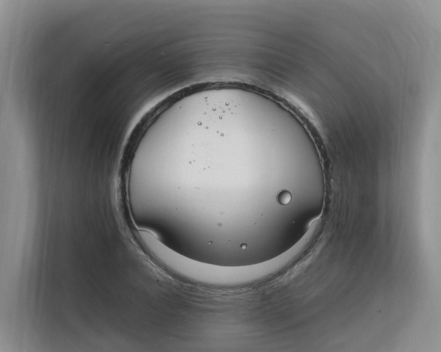 X0000111860928200908131456