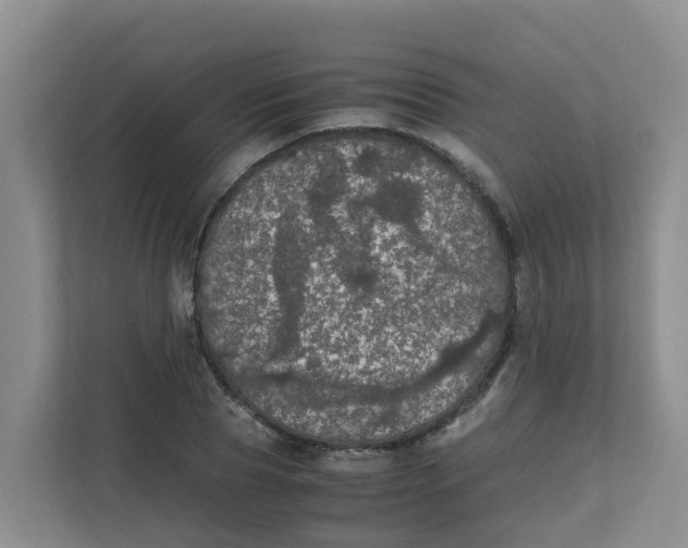 X0000111860929200908131456