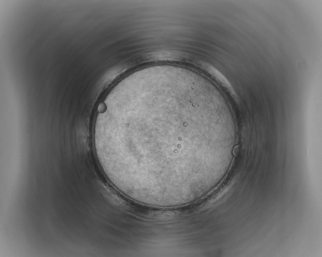 X0000111860930200908131456