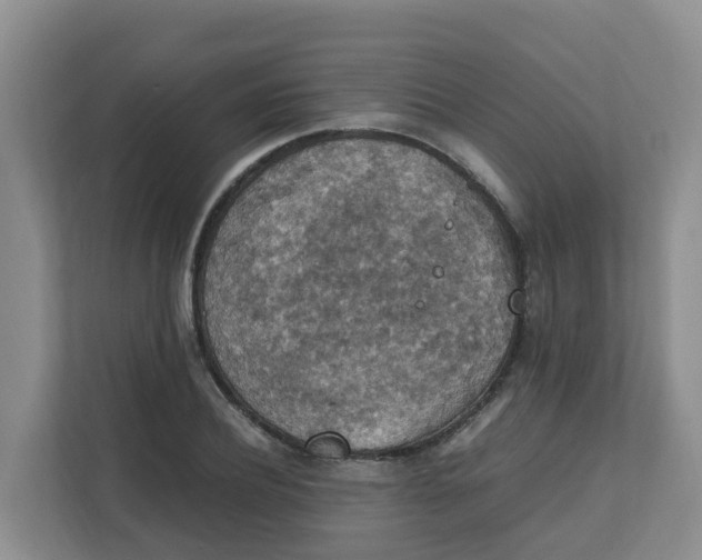 X0000111860932200908131456