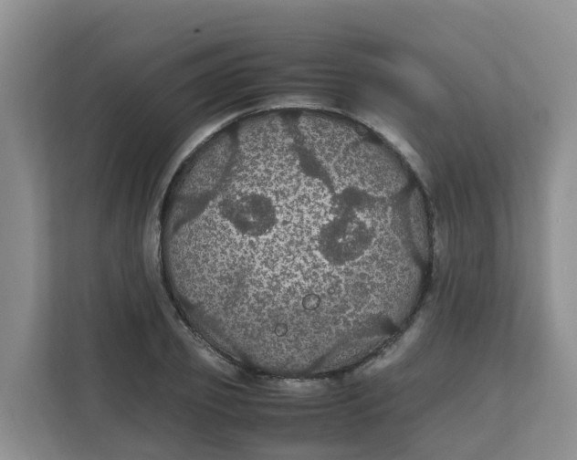 X0000111860933200908131456