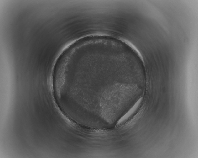 X0000111860935200908131456