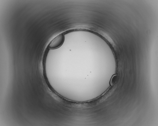 X0000111860936200908131456