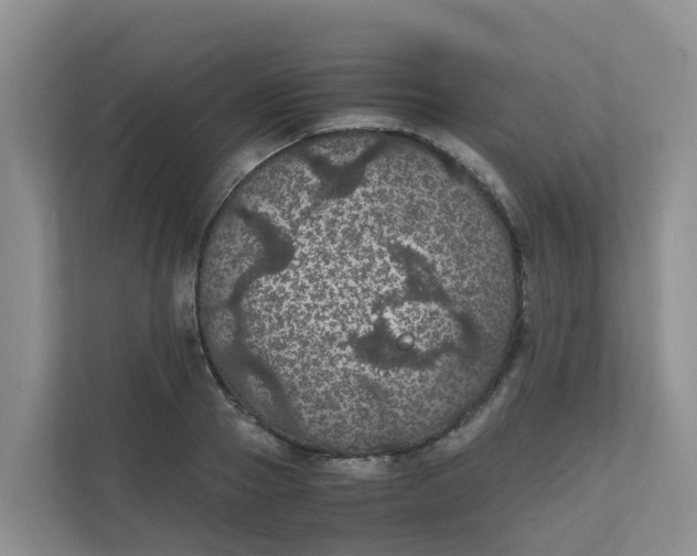 X0000111860937200908131456