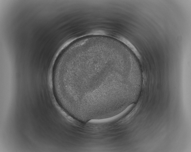 X0000111860939200908131456