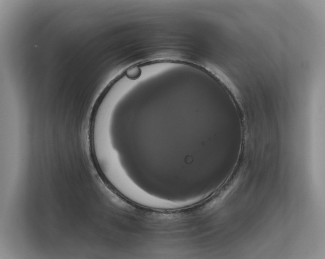 X0000111860941200908131456