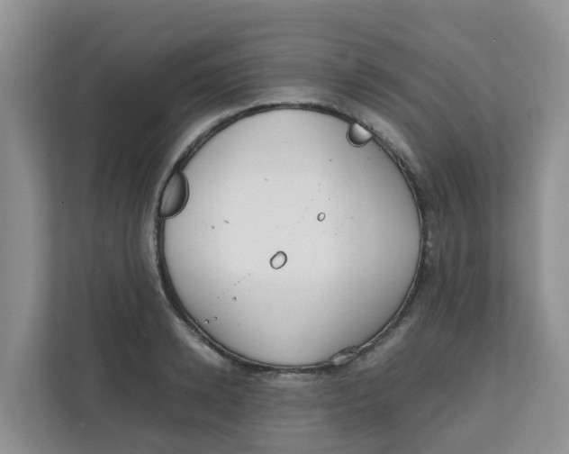 X0000111860942200908131456