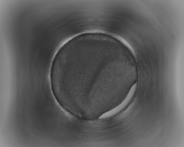 X0000111860943200908131456