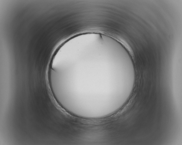 X0000111860944200908131456