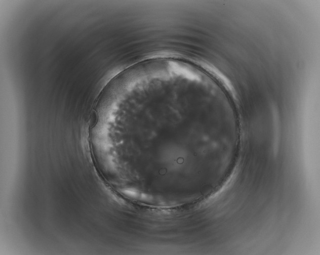 X0000111860945200908131456