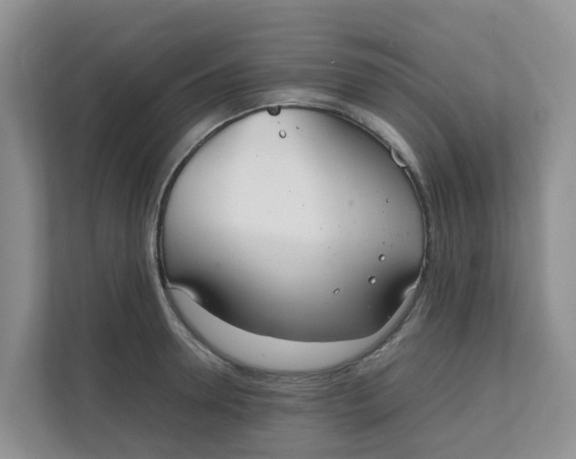 X0000111860946200908131456