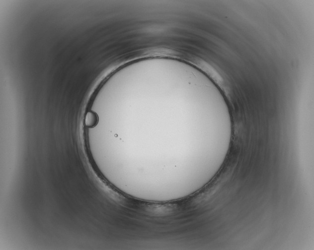 X0000111860947200908131456