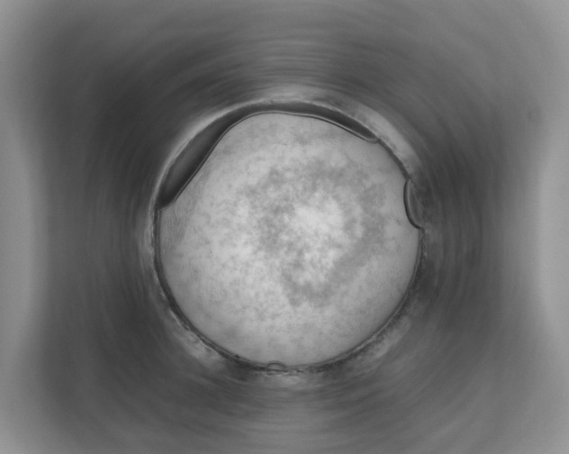 X0000111860948200908131456