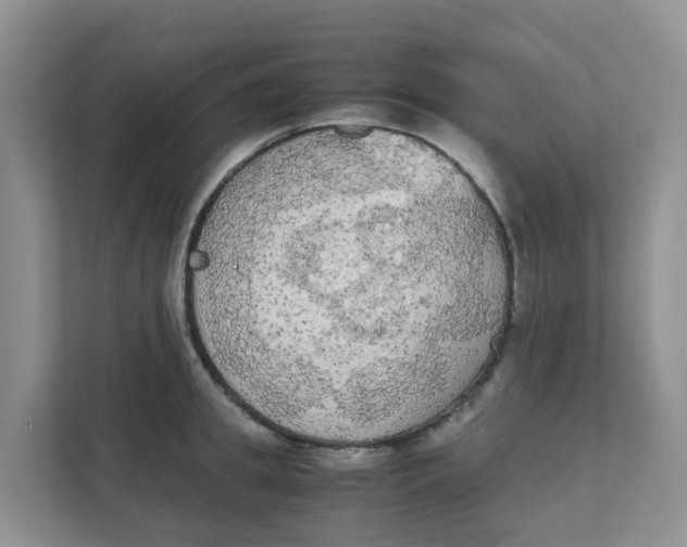 X0000111860949200908131456