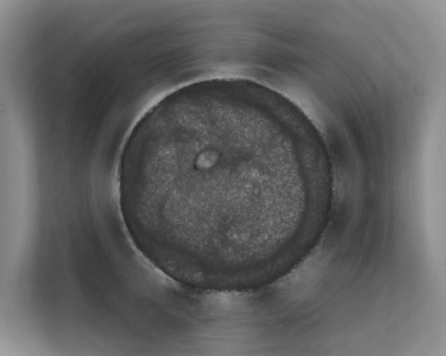 X0000111860950200908131456