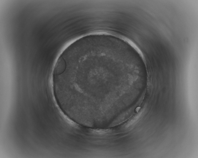 X0000111860951200908131456