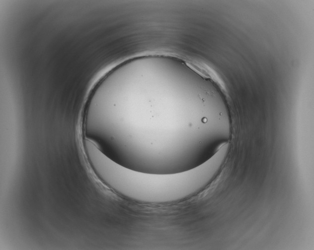 X0000111860952200908131456