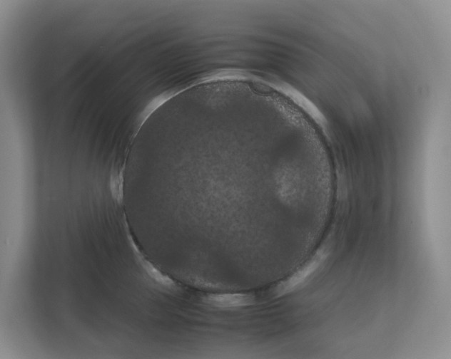 X0000111860953200908131456