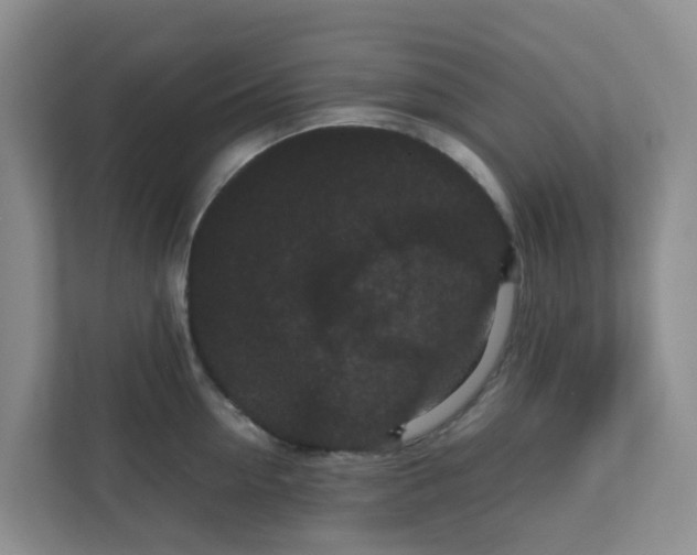 X0000111860954200908131456