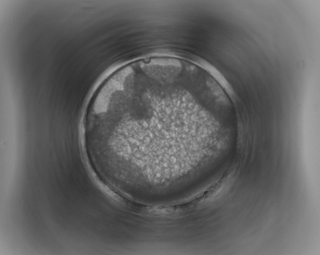 X0000111860955200908131456