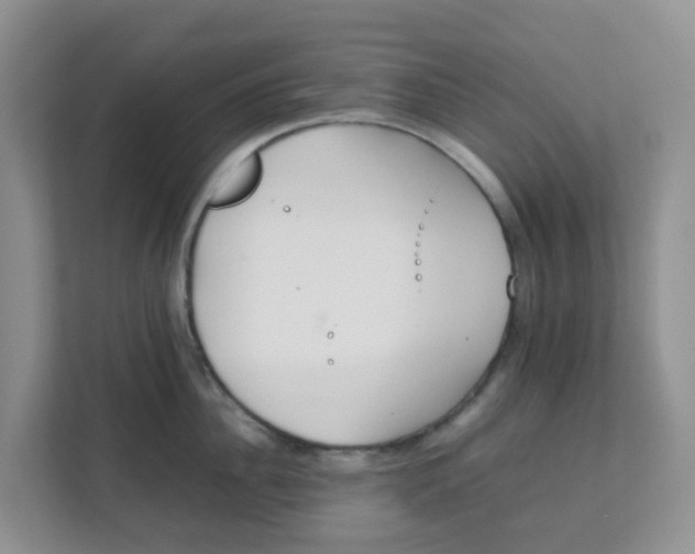 X0000111860956200908131456