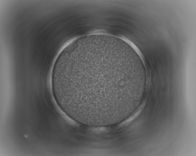 X0000111860957200908131456