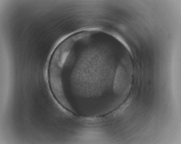 X0000111860959200908131456