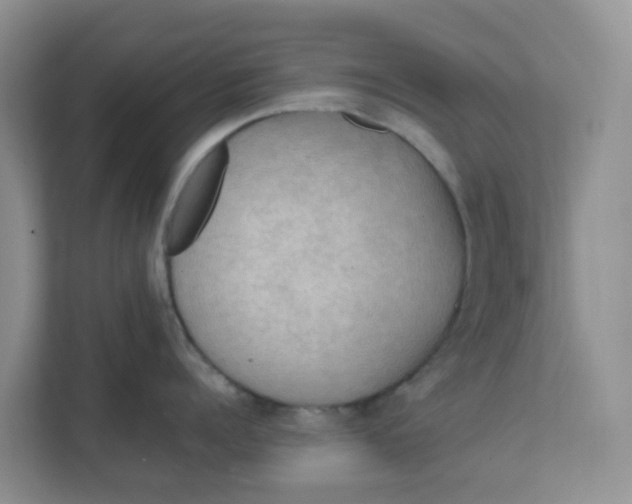 X0000111860960200908131456