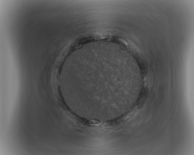 X0000111860961200908131456