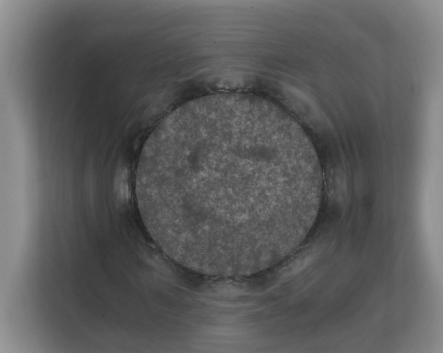 X0000111860962200908131456