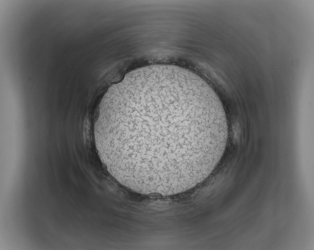 X0000111860964200908131456