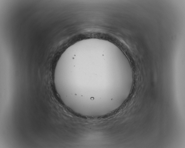 X0000111860965200908131456