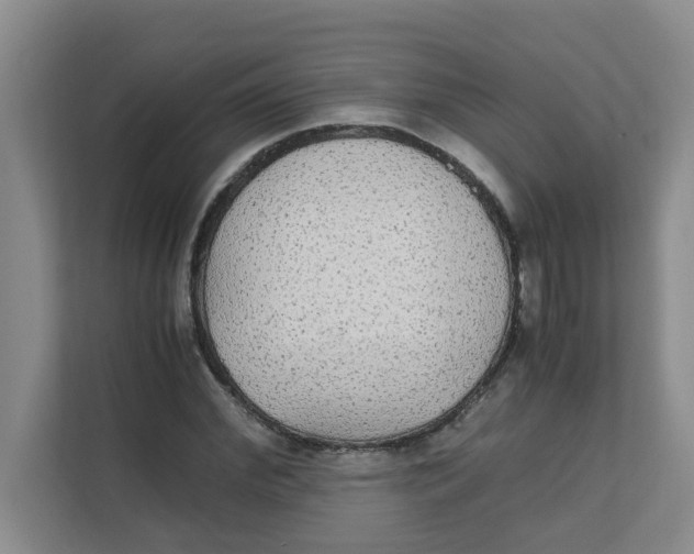 X0000111860972200908131456