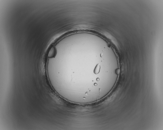 X0000111860973200908131456