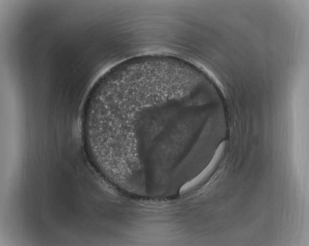 X0000111860975200908131456