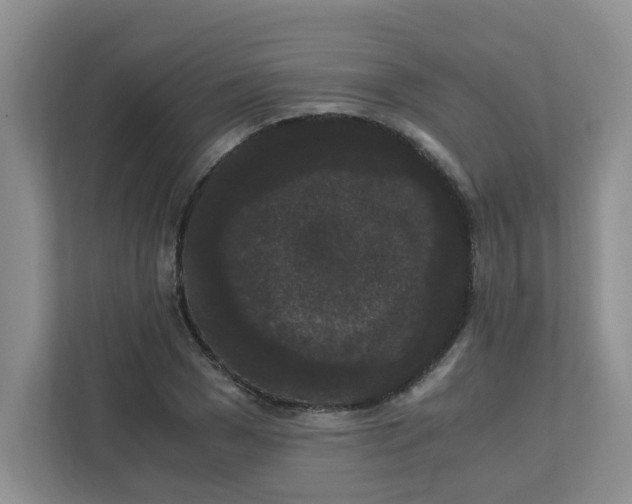 X0000111860977200908131456