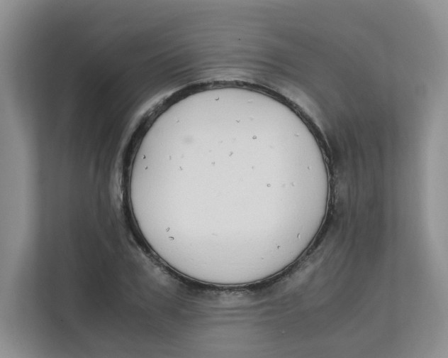 X0000111860979200908131456