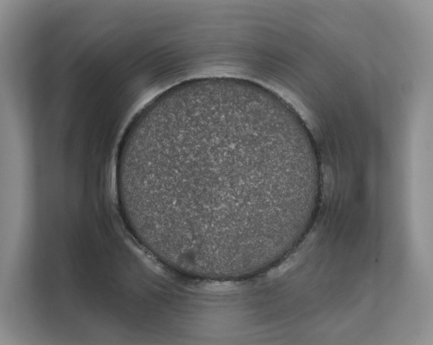 X0000111860982200908131456