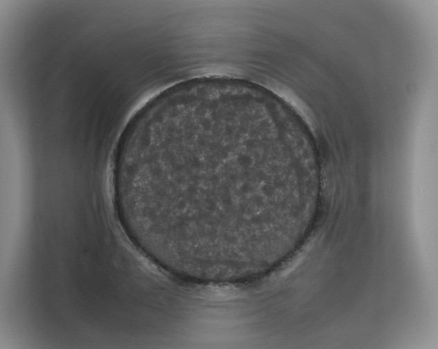 X0000111860983200908131456