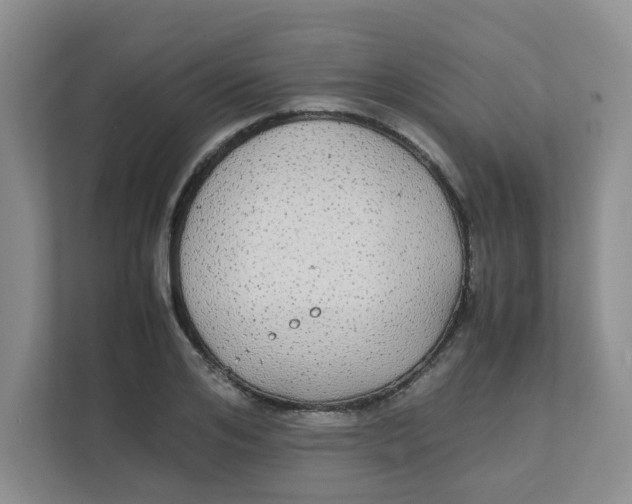 X0000111860984200908131456