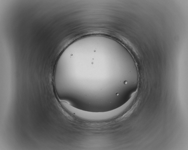 X0000111860985200908131456