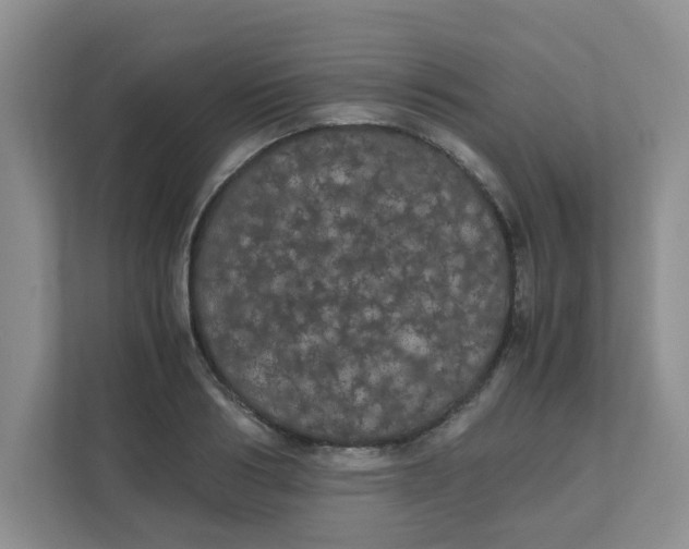 X0000111860986200908131456