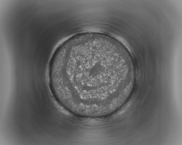 X0000111860987200908131455