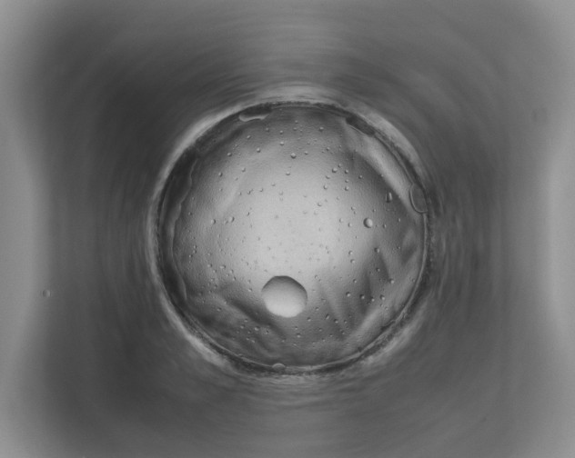 X0000111860989200908131455