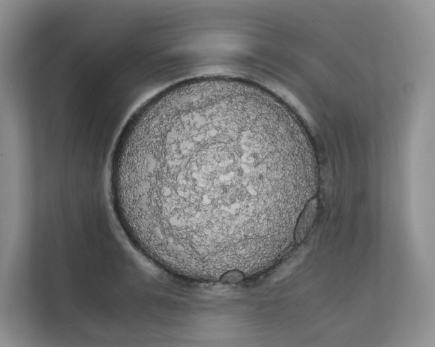 X0000111860991200908131455