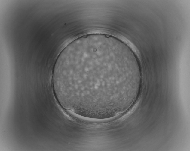 X0000111860993200908131455