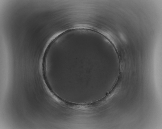 X0000111860995200908131455