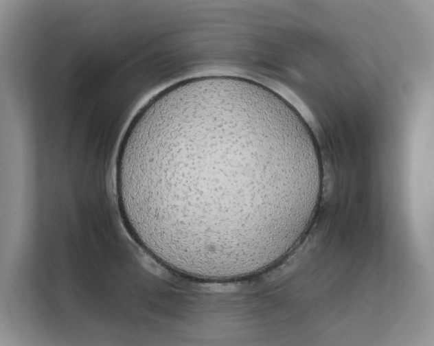 X0000111860996200908131455