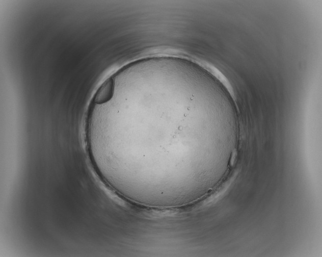 X0000111860997200908131455